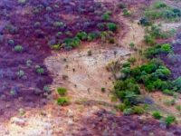 The Zambezi Helicopter Company